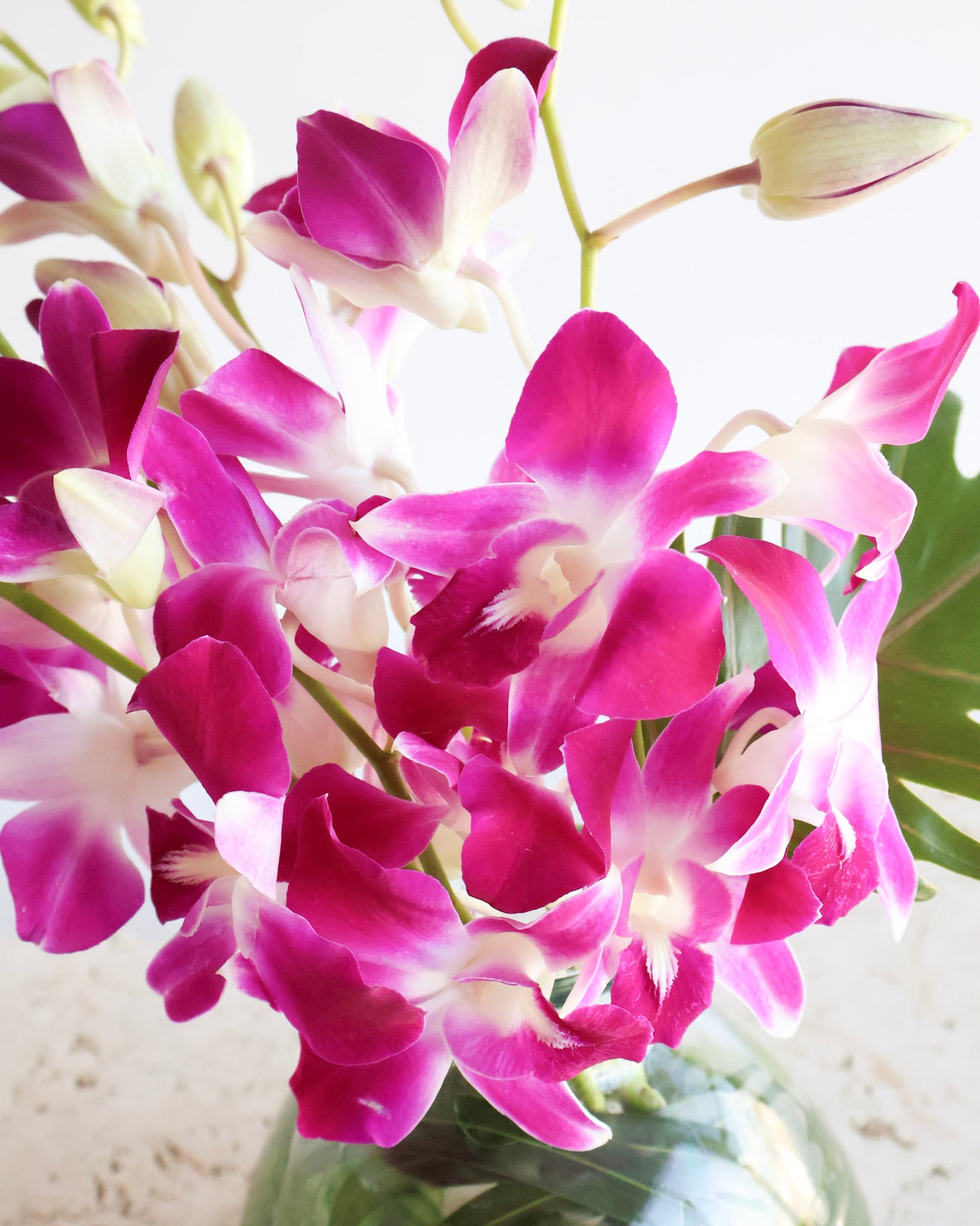 MID WEEK DEAL: BOTANICA ORCHID VASE