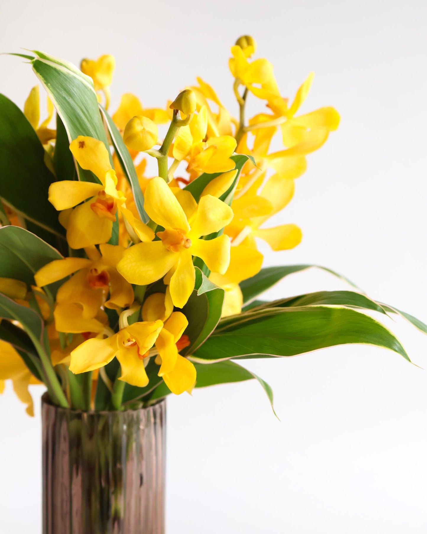 WEEKEND SPECIAL: TROPICAL PUNCH VASE ARRANGEMENT