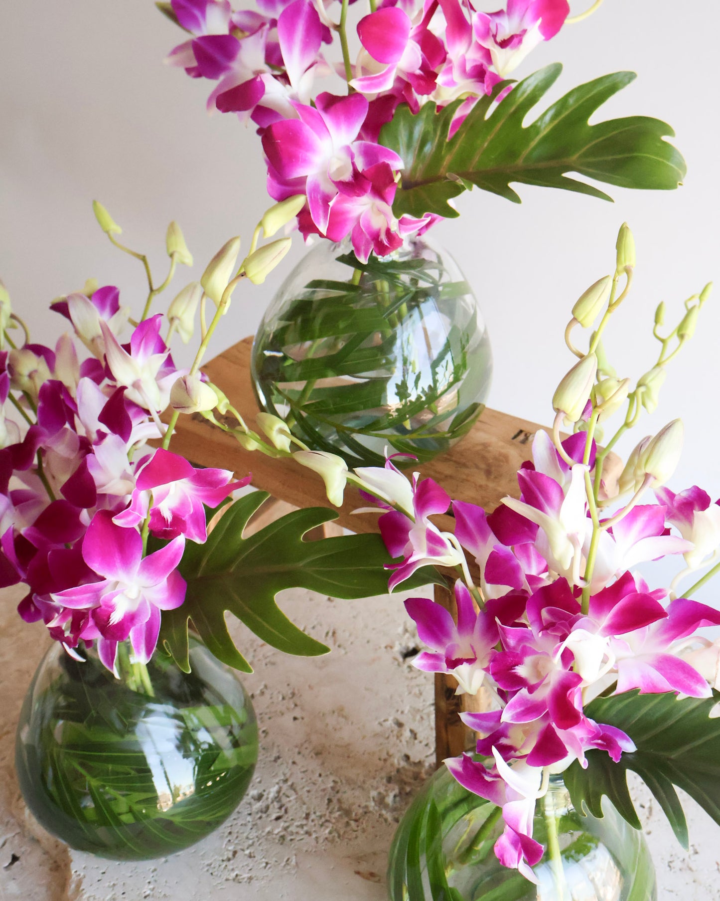 MID WEEK DEAL: BOTANICA ORCHID VASE