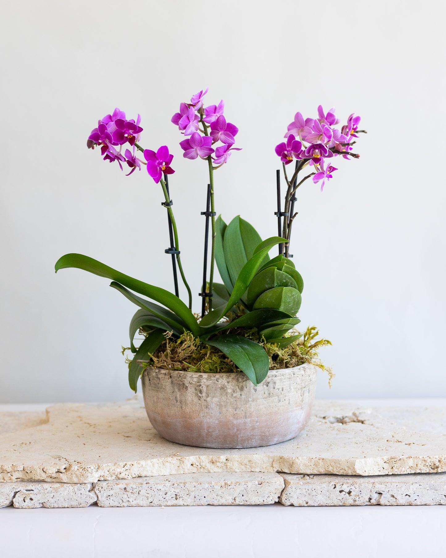 MARRON PINK ORCHID BOWL