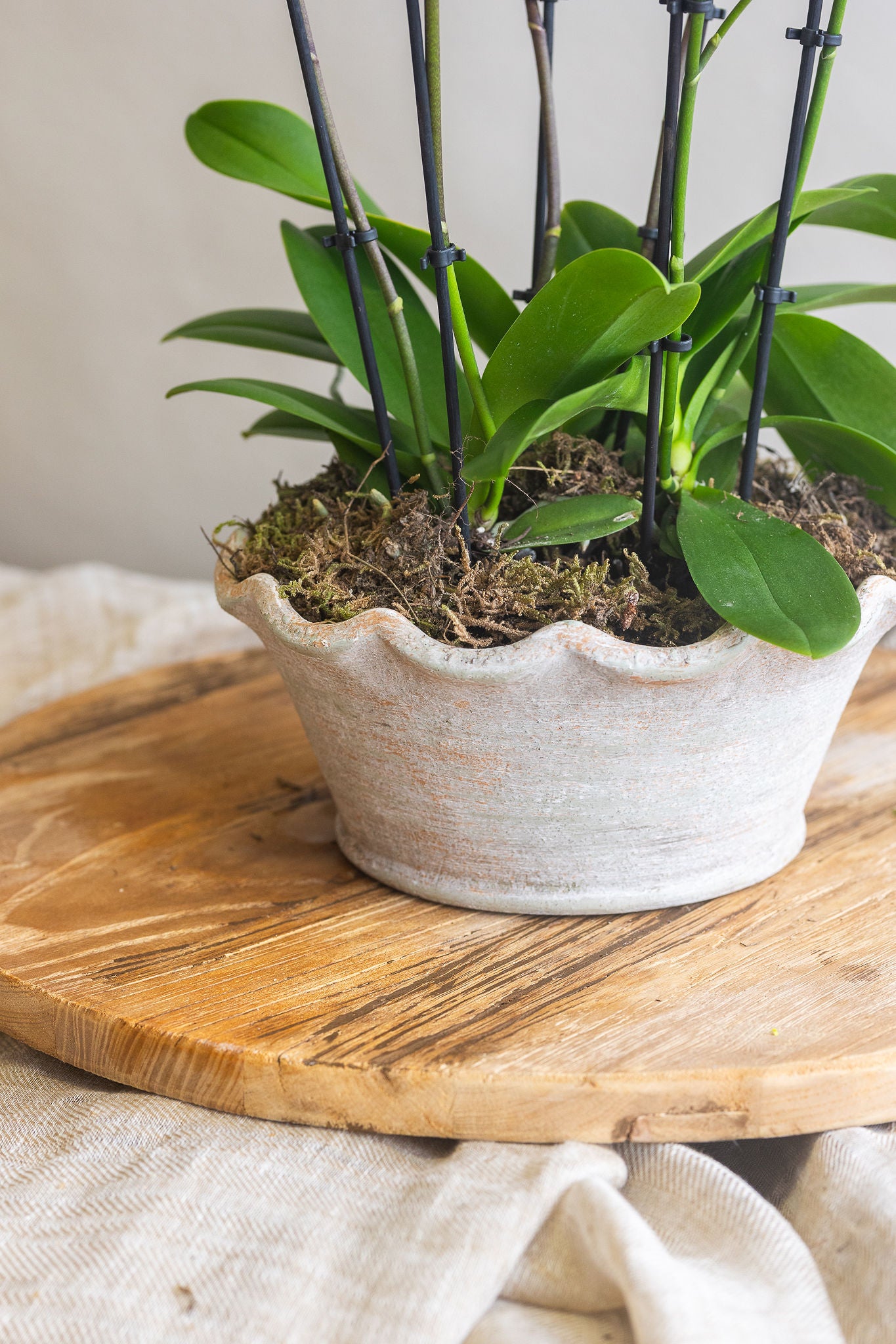 THE ATELIER ORCHID BOWL