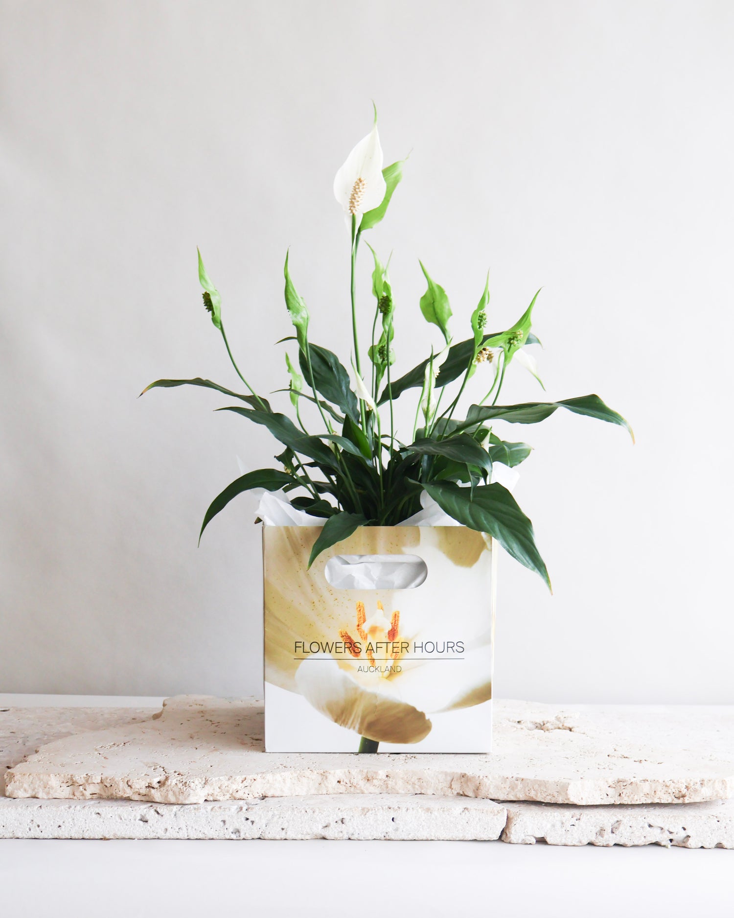 NEWEST PRODUCTS - Flowers After Hours