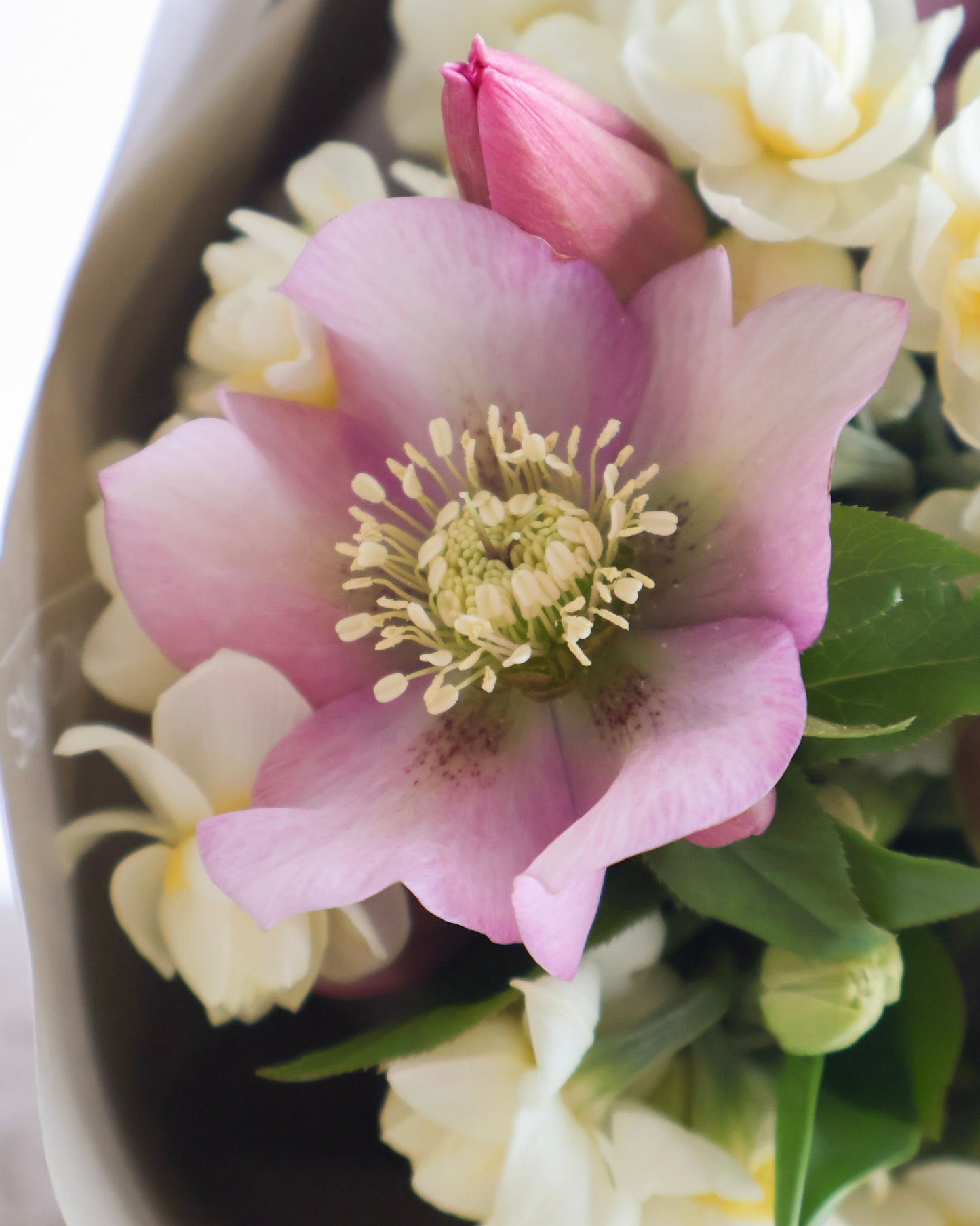 MID WEEK DEAL: BUTTER & BLUSH POSY