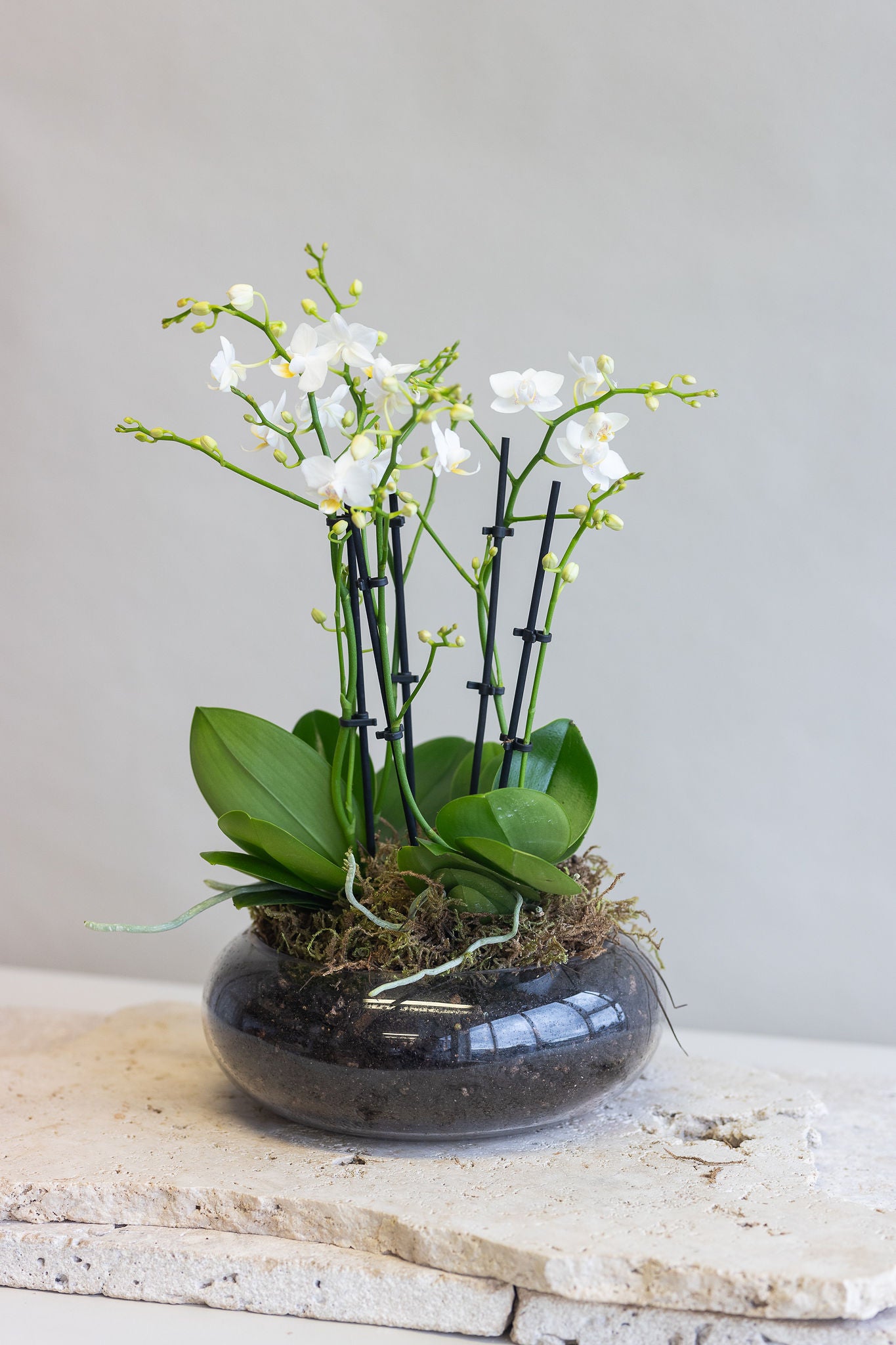 CELINE WHITE ORCHID BOWL