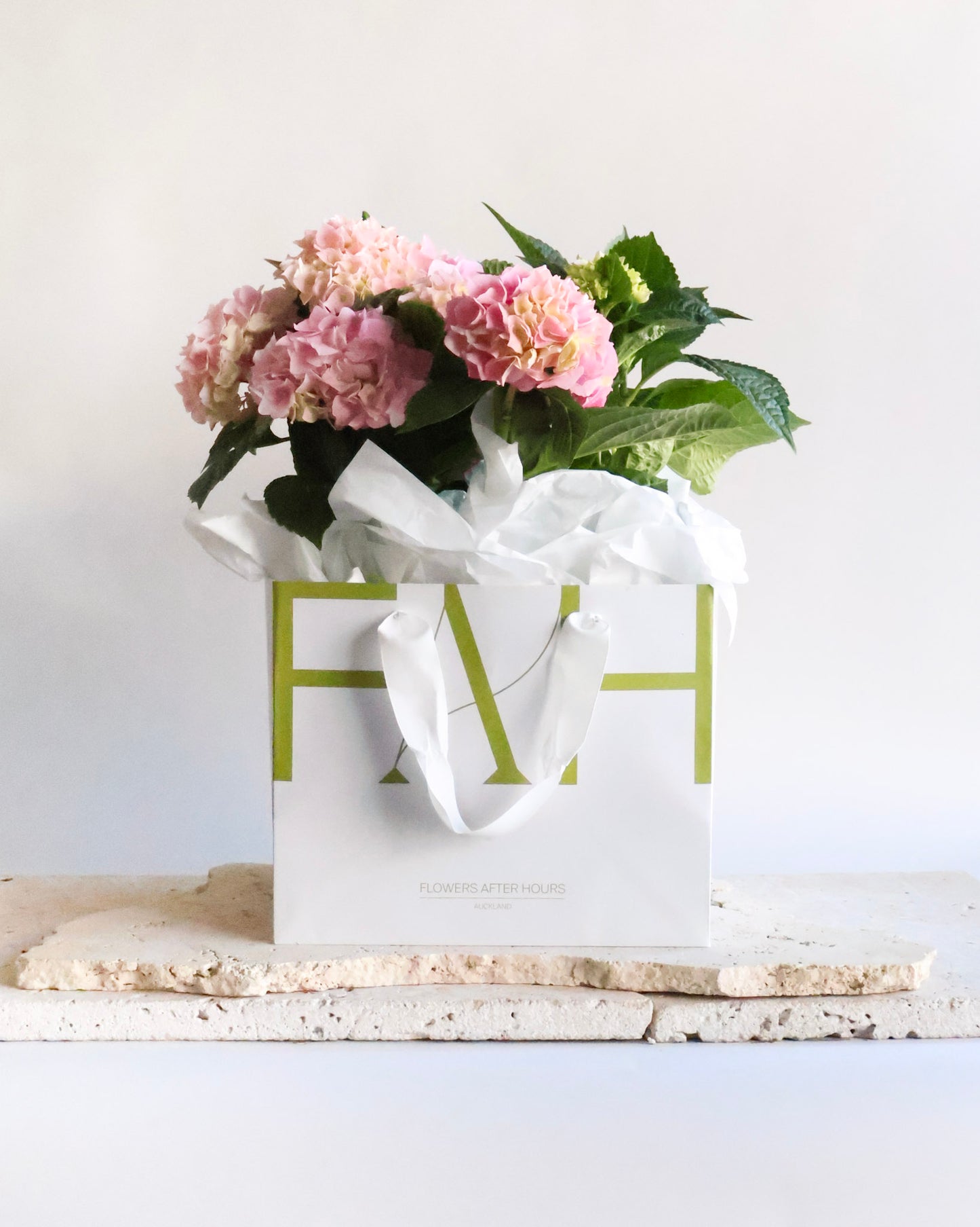 WEEKEND SPECIAL: HYDRANGEA PLANTS