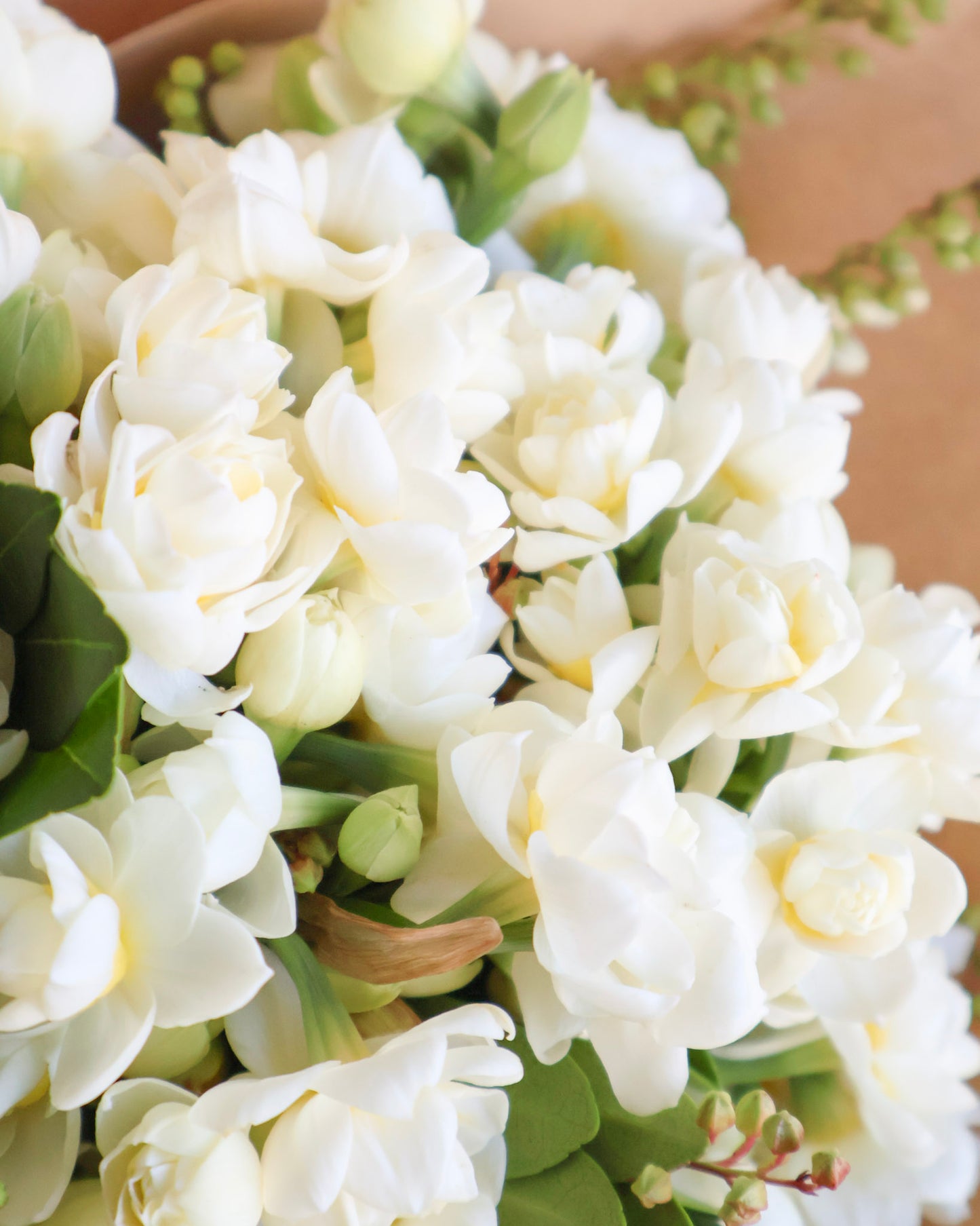 WEEKEND SPECIAL: WINTER PERFUME BOUQUET