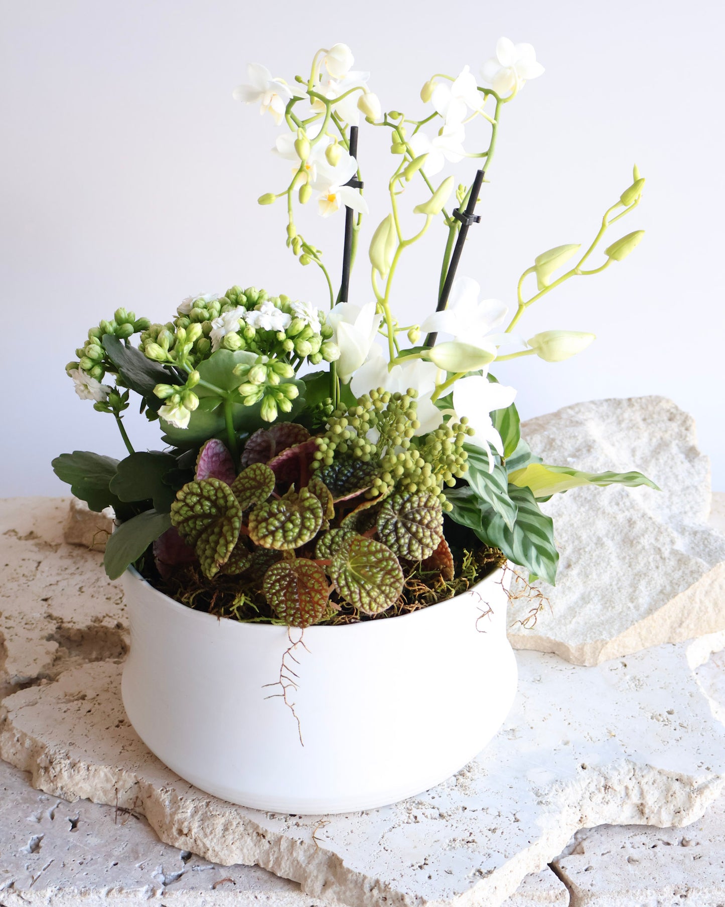 PETITE POT ET FLEUR: WHITE