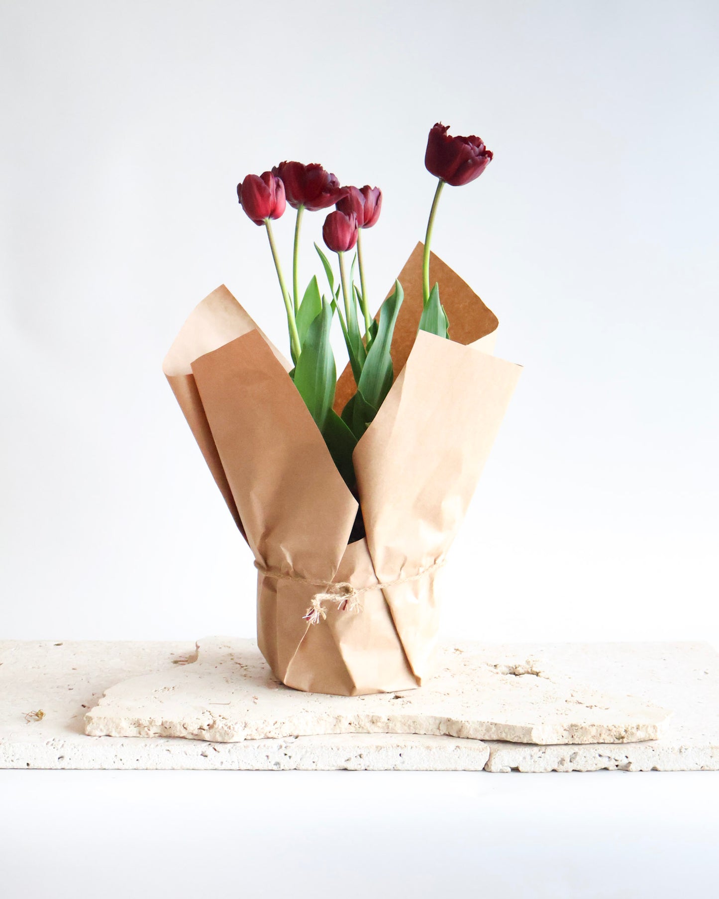 WEEKEND SPECIAL: POTTED PEONY TULIPS PLANT