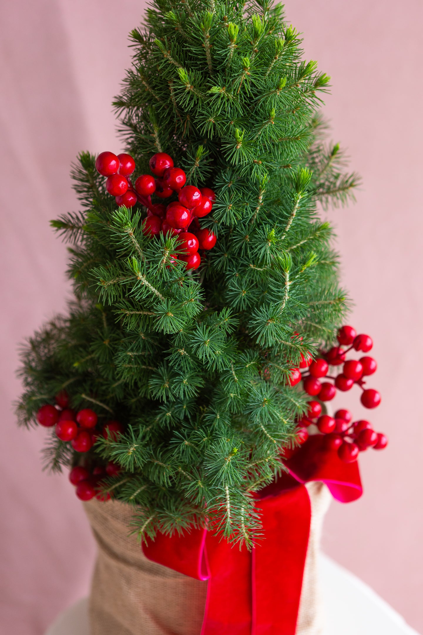 PETITE LIVING RIBBON CHRISTMAS TREE