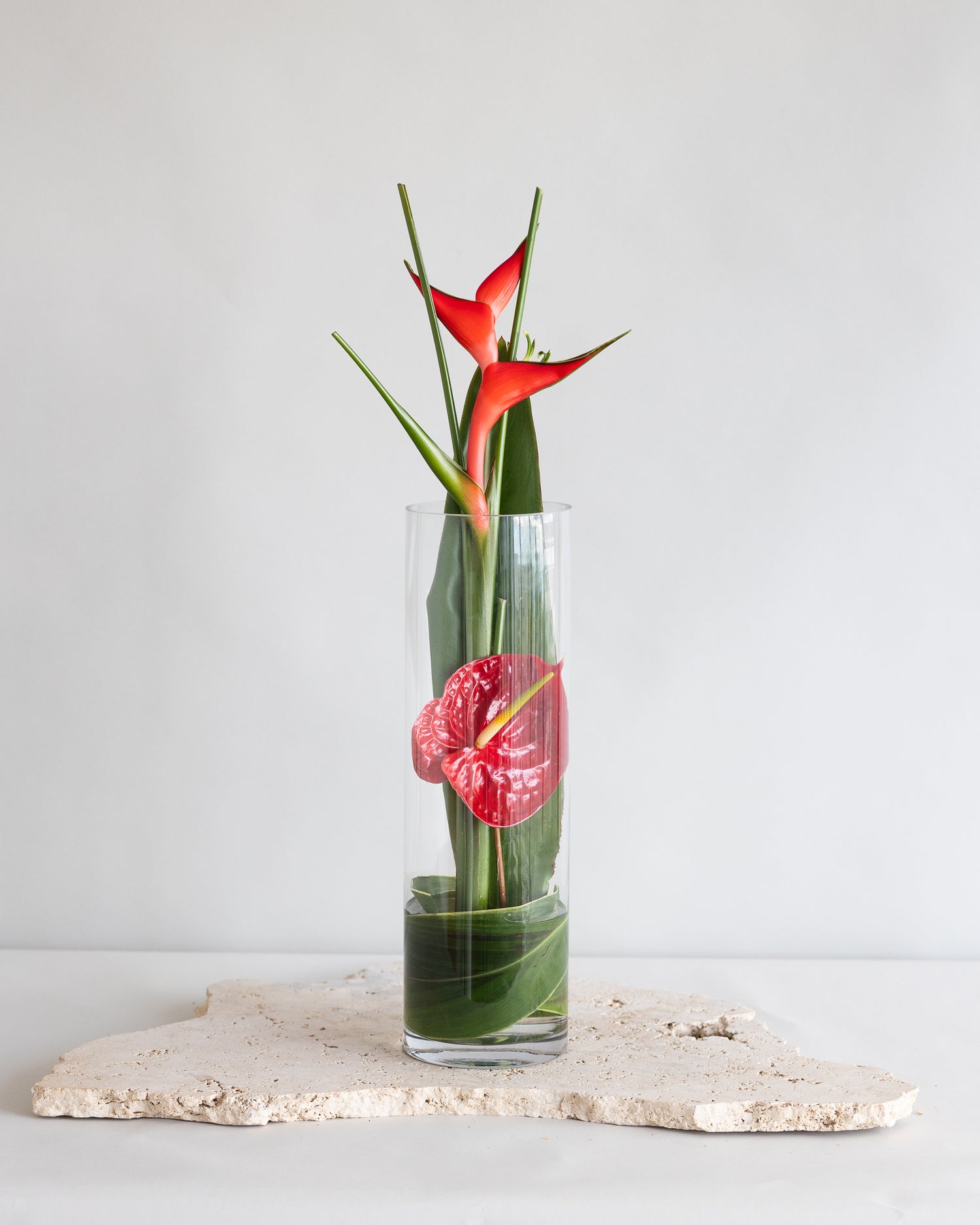 NEWEST PRODUCTS - Flowers After Hours