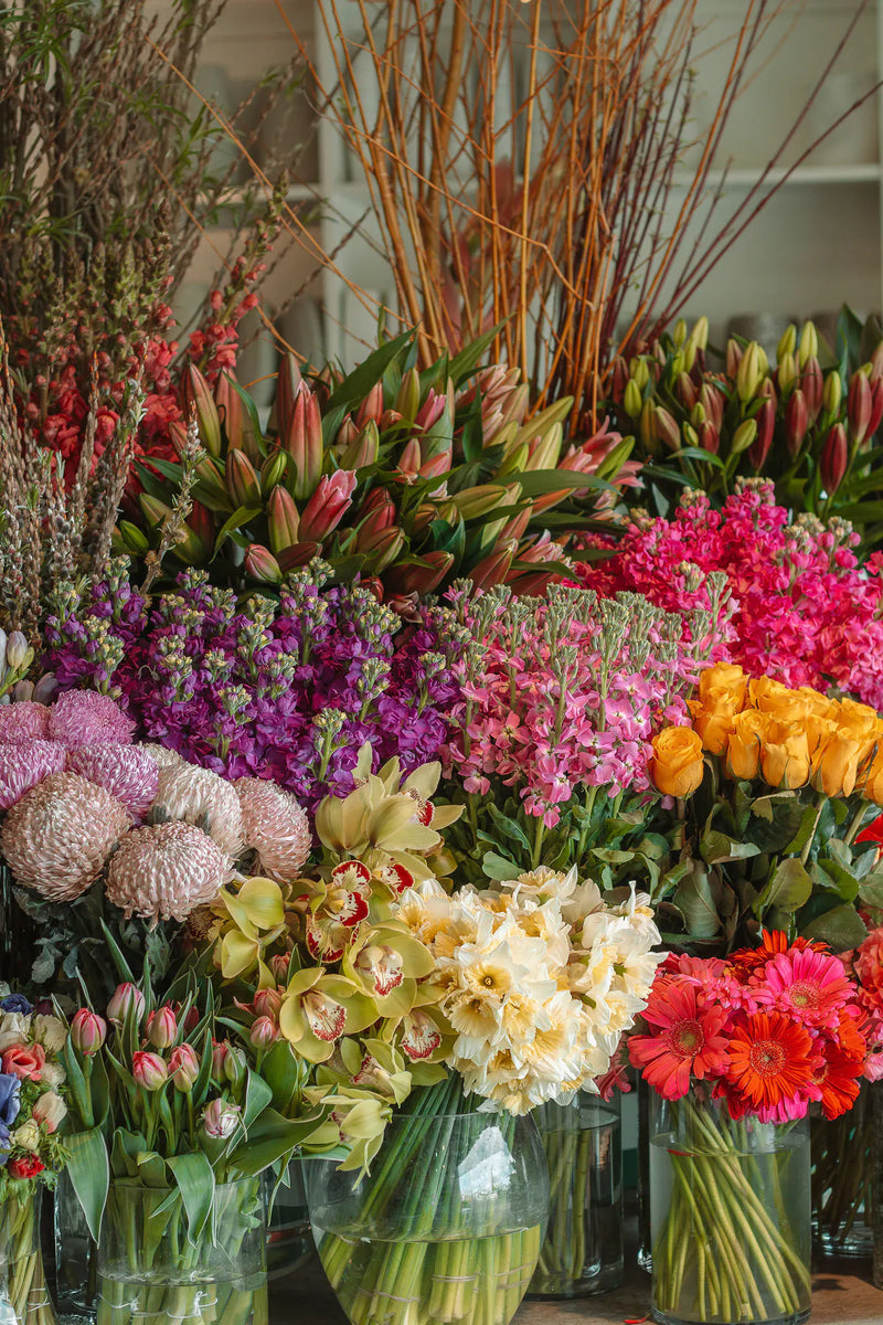 Flowers After Hours
