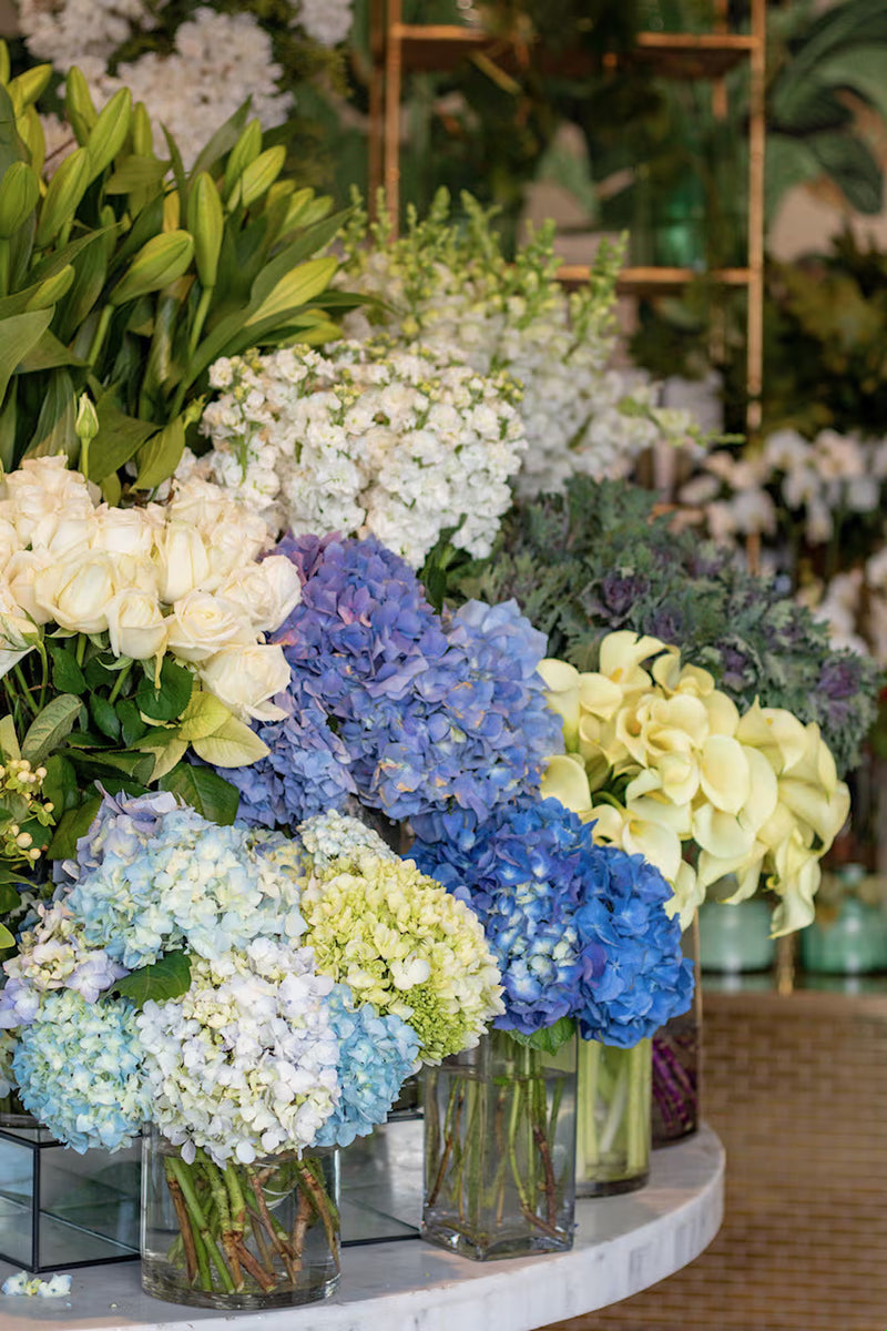 Flowers After Hours
